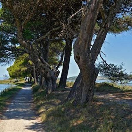 Agreable Maison De Famille Sur Gite Echarou Sigean Eksteriør billede