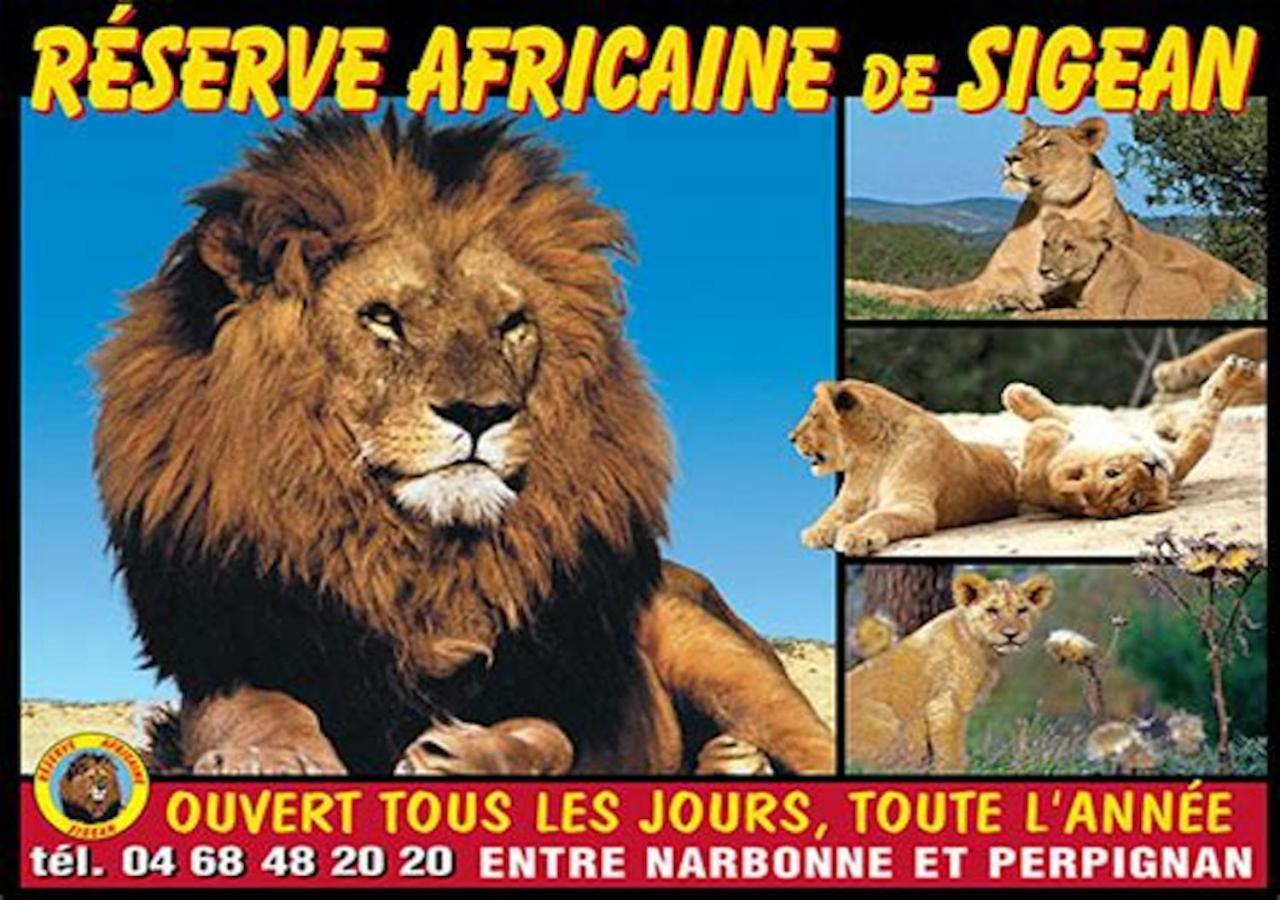 Agreable Maison De Famille Sur Gite Echarou Sigean Eksteriør billede