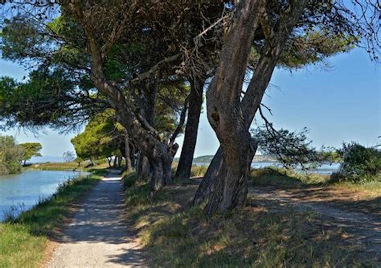 Agreable Maison De Famille Sur Gite Echarou Sigean Eksteriør billede